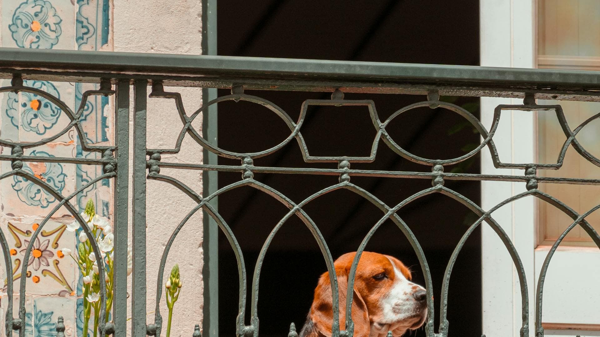 Azulejos portugueses: a arte que conta a história de Salvador nas paredes